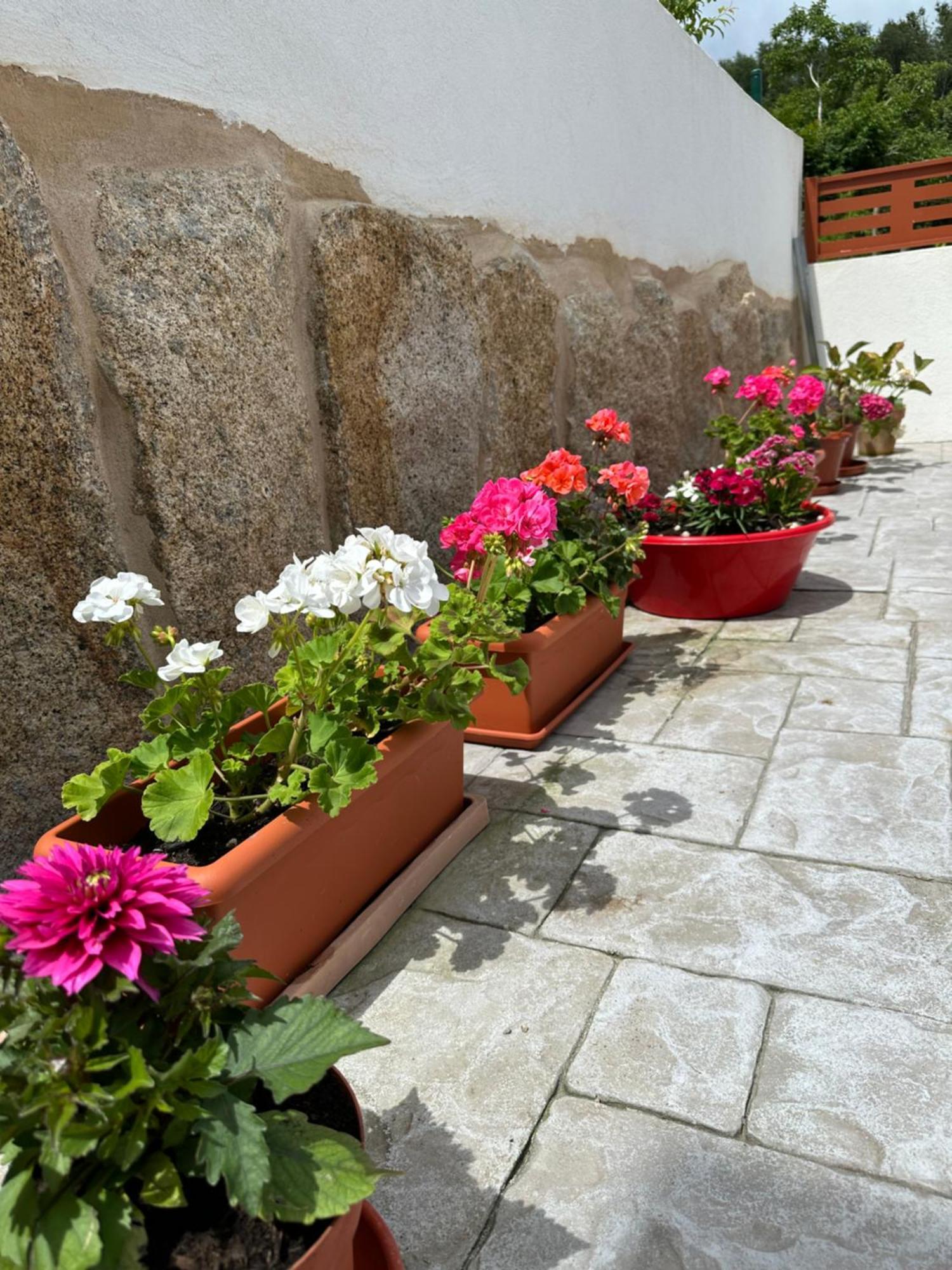 Villa Casa La Oveja Negra, Con Piscina Ourense Exterior foto
